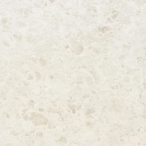 Desert Oasis Light Beige